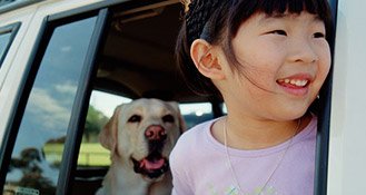 Pediatric care - a Child with dog on the car window