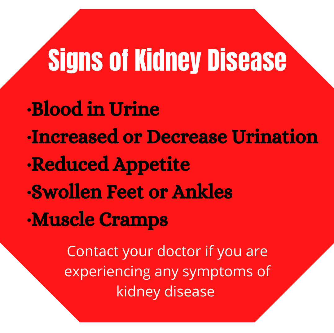 medical info - signs of kidney disease