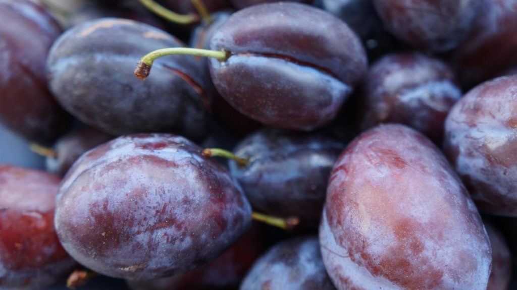 nutritionist tip - eat plums