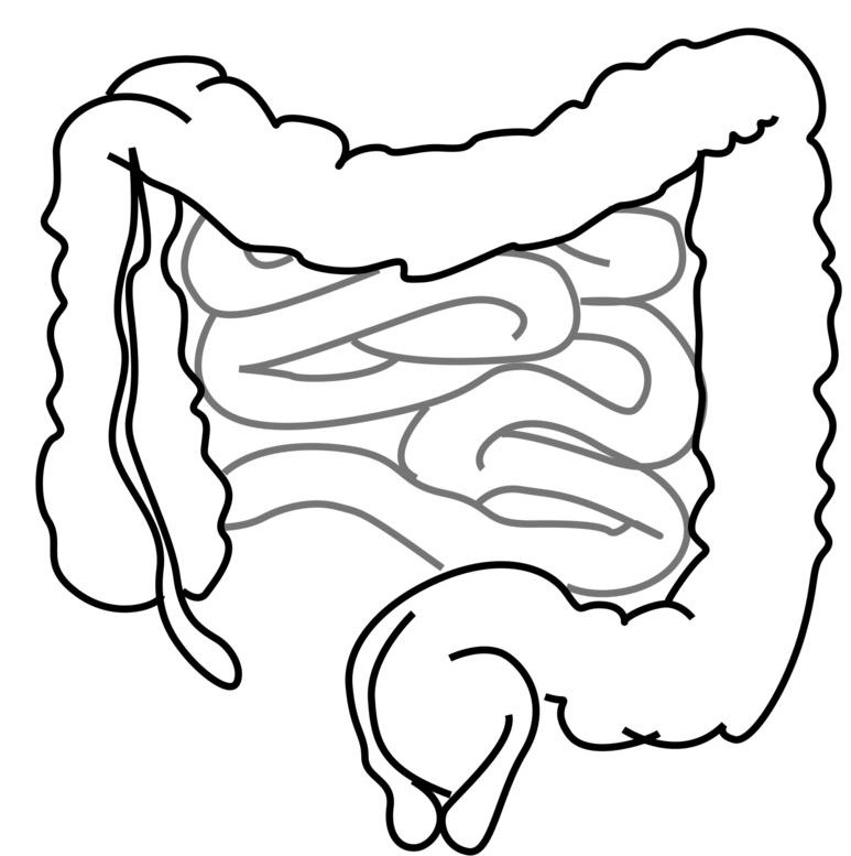 help for IBS - irritable bowels